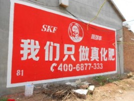 咸丰刷墙广告”蕴含了时代命题