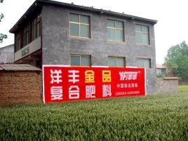 咸丰如何让墙体广告展现最大化效果