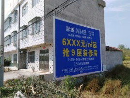 咸丰墙体广告质量分析