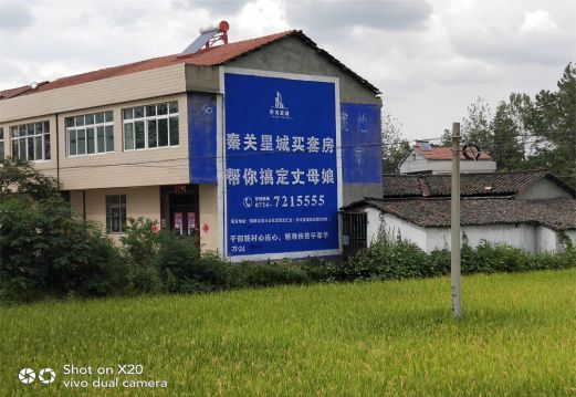咸丰决定墙体广告价格的因素有哪些?