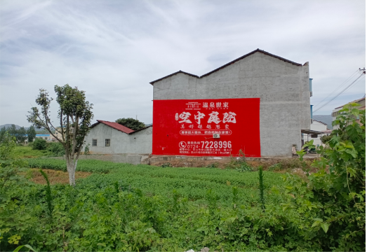咸丰做墙体广告的意义