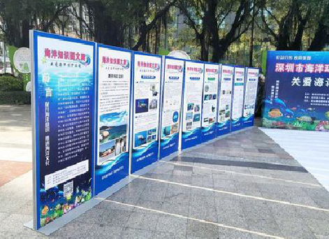 咸丰KT板的种类和知识。